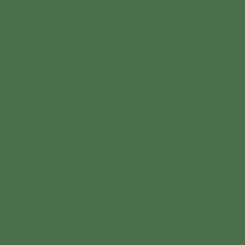 Image of Master Chroma Isofan - G6125 - Green Paint