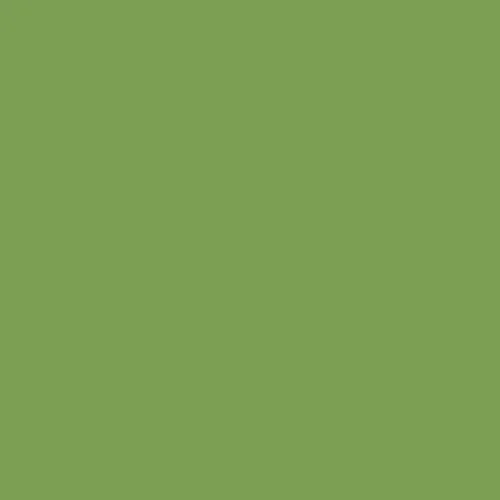 Image of Master Chroma Isofan - G6203 - Green Paint