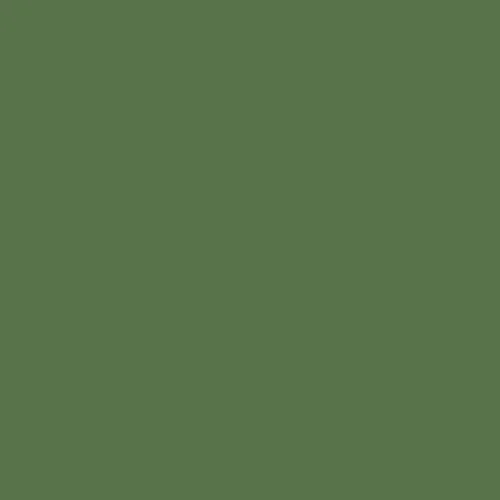 Image of Master Chroma Isofan - G6216 - Green Paint
