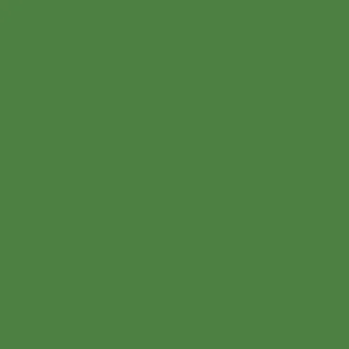 Image of Master Chroma Isofan - G6233 - Green Paint