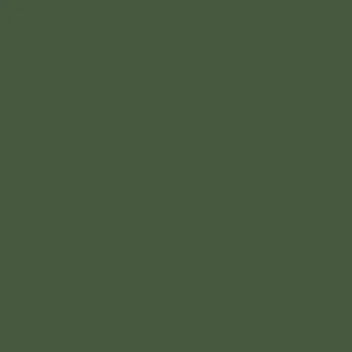 Image of Master Chroma Isofan - G6255 - Green Paint
