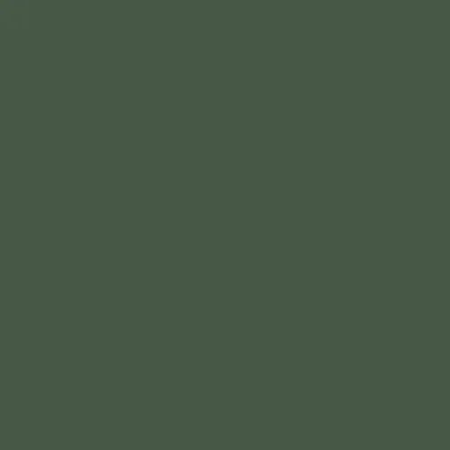 Image of Master Chroma Isofan - G6269 - Green Paint