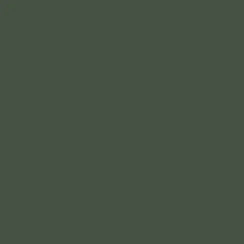 Image of Master Chroma Isofan - G6270 - Green Paint