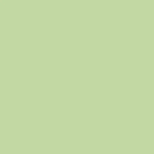 Image of Master Chroma Isofan - G6299 - Green Paint