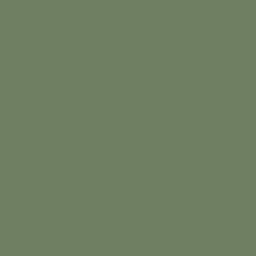 Image of Master Chroma Isofan - G6343 - Green Paint
