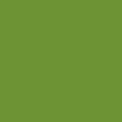 Image of Master Chroma Isofan - G6506 - Green Paint