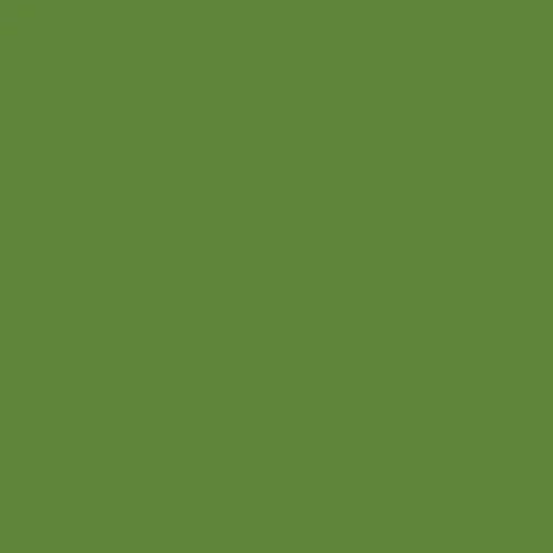 Image of Master Chroma Isofan - G6508 - Green Paint