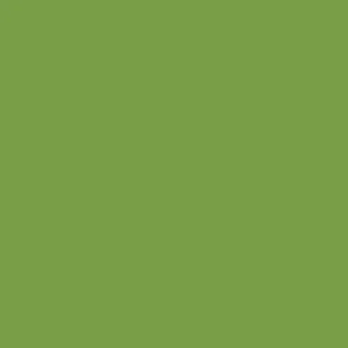 Image of Master Chroma Isofan - G6531 - Green Paint
