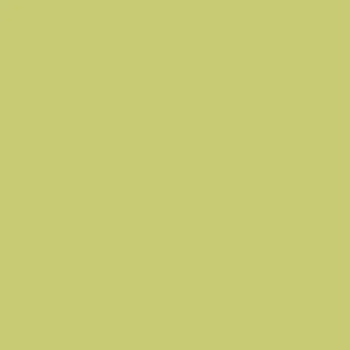 Image of Master Chroma Isofan - G6555 - Green Paint