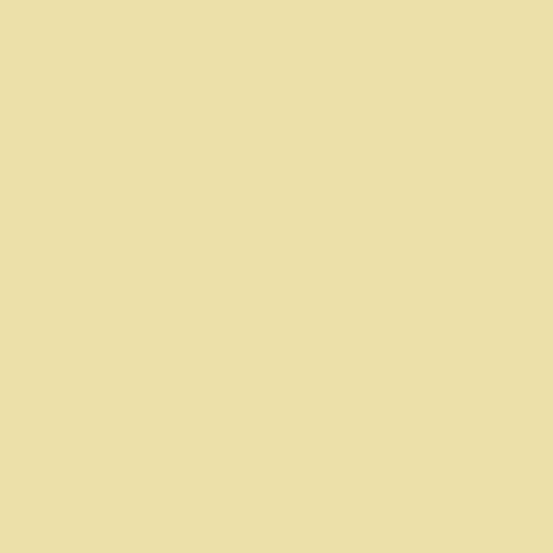 Image of Master Chroma Isofan - Y1011 - Yellow Paint