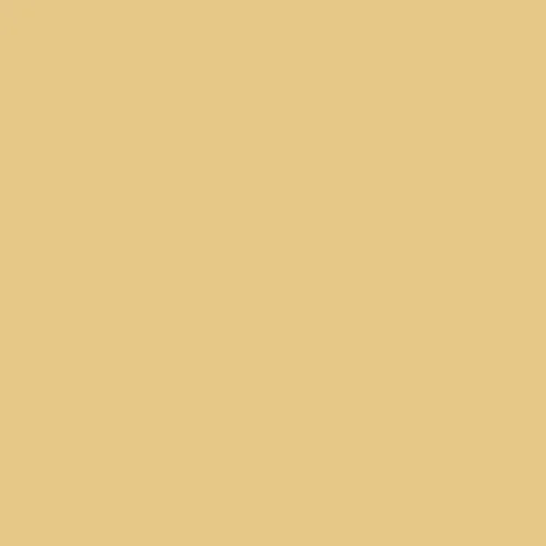 Image of Master Chroma Isofan - Y1081 - Yellow Paint