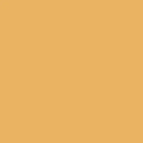 Image of Master Chroma Isofan - Y1106 - Yellow Paint