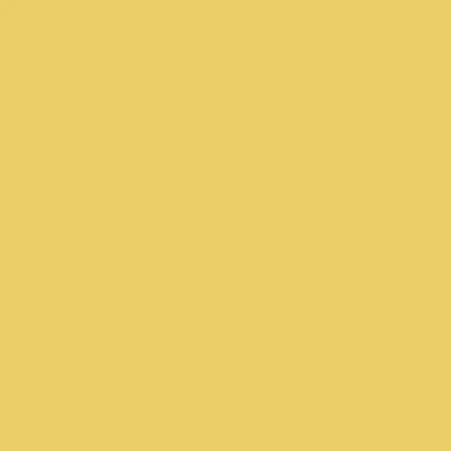 Image of Master Chroma Isofan - Y1183 - Yellow Paint