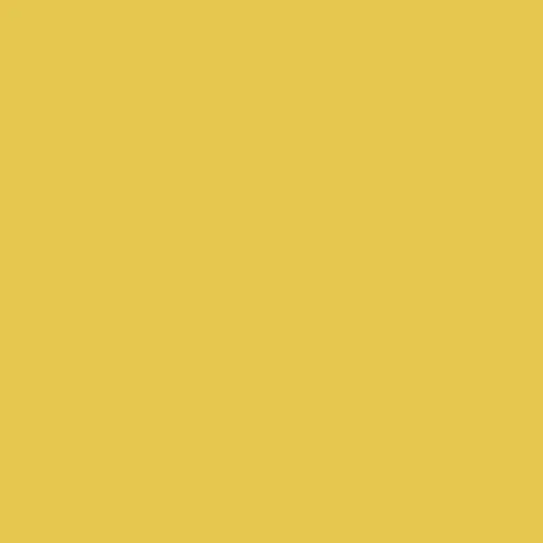 Image of Master Chroma Isofan - Y1287 - Yellow Paint