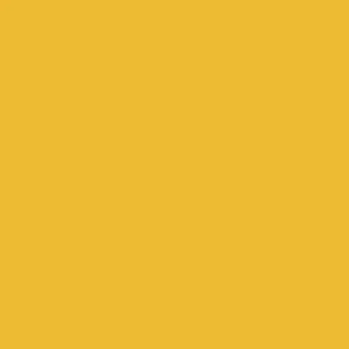 Image of Master Chroma Isofan - Y1304 - Yellow Paint