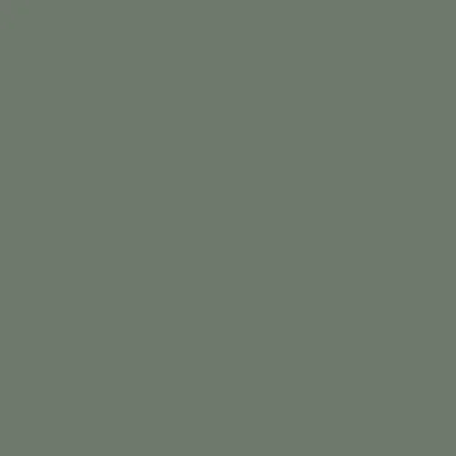 Image of RAL 140 50 10 Paint