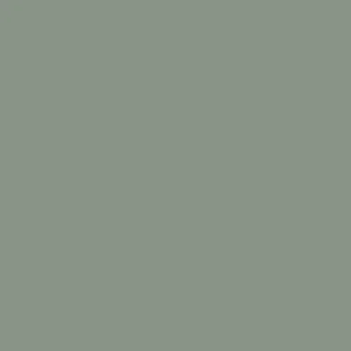 Image of RAL 140 60 10 Paint