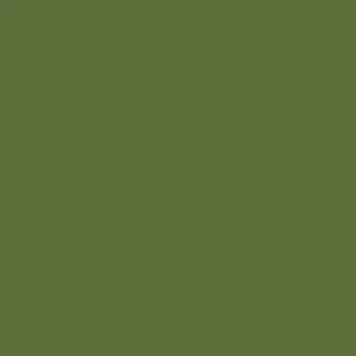 Image of RAL 6025 Fern Green Paint