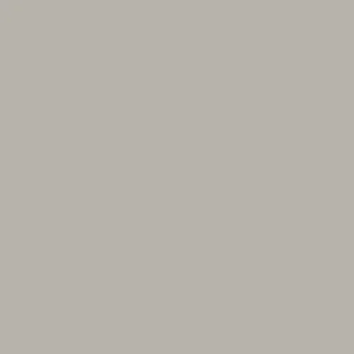 Image of RAL 7044 Silk Grey Paint