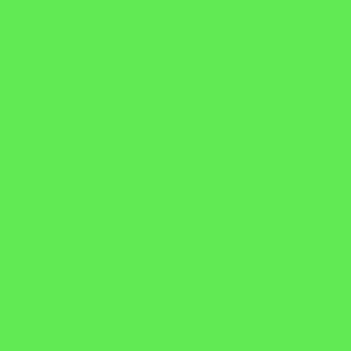 Fluorescent Neon Green Spray Paint 200ml 